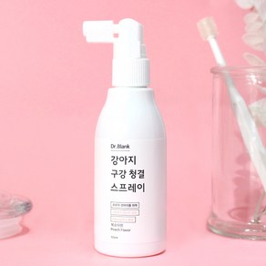 닥터블랭크 강아지 구강청결 구취제거 스프레이 복숭아향, 120ml, 1개