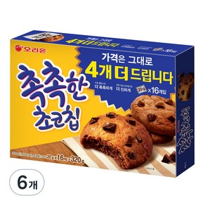 오리온 촉촉한 초코칩