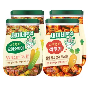 새미네부엌 깍두기 양념 120g 2p + 오이소박이 양념 120g 2p, 1세트