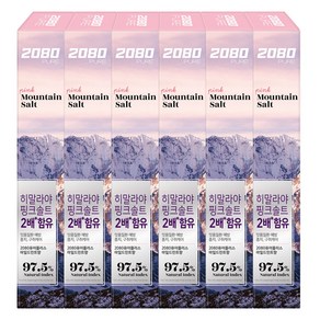 2080 핑크솔트 마운틴 퓨어 플러스 치약, 150g, 6개