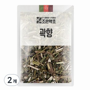 조은약초 곽향, 100g, 2개