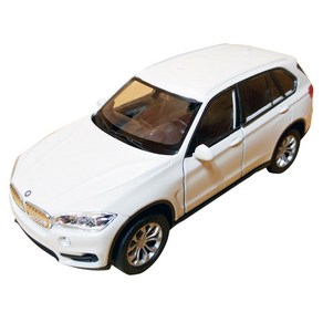 웰리 SUV BMW X5 자동차