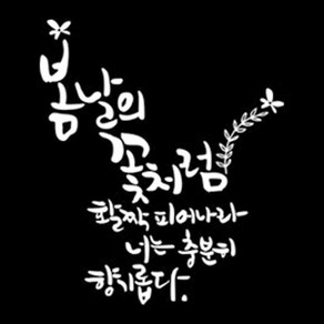 디자인엠 봄날의꽃처럼 캘리그라피 포인트 스티커, 화이트