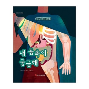 내 몸속이 궁금해, 와이즈만BOOKS