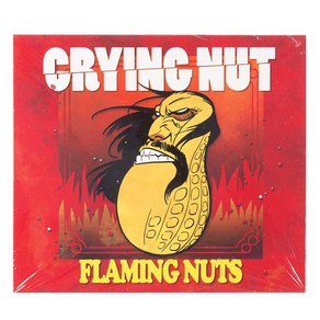 크라잉 넛 - Flaming Nuts 정규 7집, 1CD