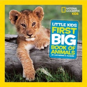 Little Kids First Big Book of Animals Hardcover