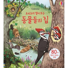 요리조리 열어보는 동물들의 집 플랩북, USBORNE KOREA