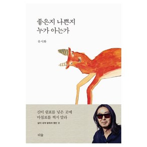 좋은지 나쁜지 누가 아는가, 더숲, 류시화 저