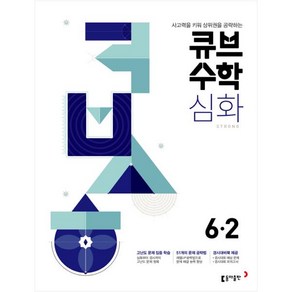 2024 큐브수학 심화 초등수학 6-2