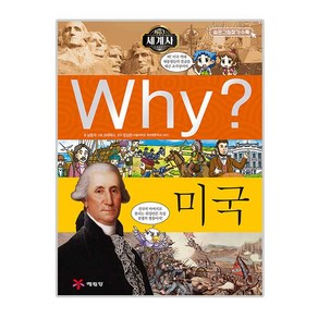 Why 세계사13 미국