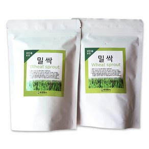 세경팜 밀싹씨앗 300g