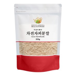 서울아레나 차전자피분말 인도산, 1개, 300g