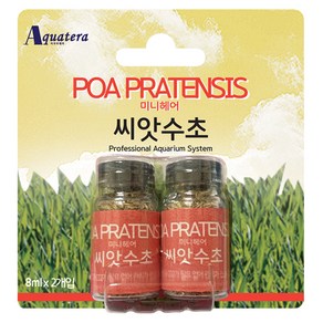 아쿠아테라 씨앗수초 관상어 용품 미니헤어 8ml