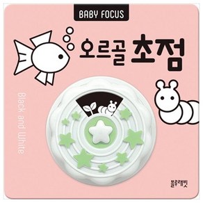 BABY FOCUS 오르골 초점, 블루래빗