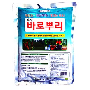 바로뿌리입제 식물영양 비료 1kg, 1개