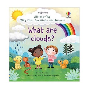 Fist Lift-the-Flap Questions and Answes : What ae Clouds?, 어스본코리아