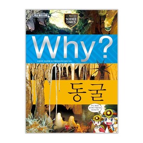 Why? N 과학 027 동굴, 예림당, 정수은