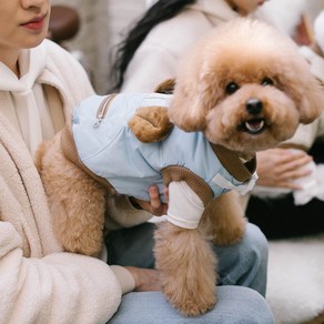 에이미러브즈펫 반려동물 하네스 패딩