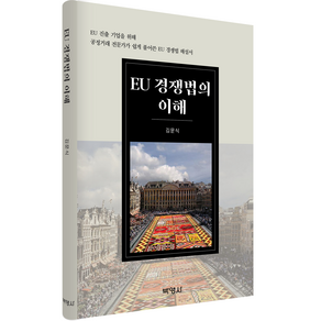 EU 경쟁법의 이해: EU 진출 기업을 위해 공정거래 전문가가 쉽게 풀어쓴 EU 경쟁법 해설서, 김문식, 박영사