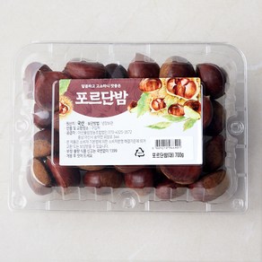 아산율림 포르단밤 대