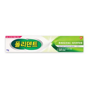 폴리덴트 후레쉬 민트 의치 부착재 70g