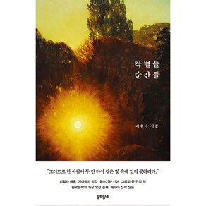 작별들 순간들:배수아 산문