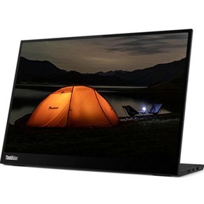 레노버 QHD+ IPS WLED 4.9mm 베젤 휴대용 모니터, 35cm, M14d