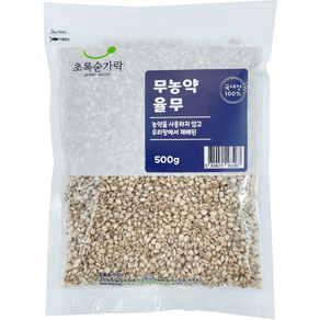 초록숟가락 무농약 율무, 500g, 1개