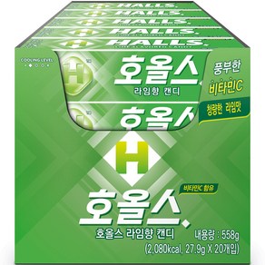 호올스 스틱 라임향 캔디, 27.9g, 20개