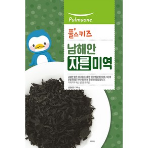 풀스키즈 남해안 자른미역, 300g, 1개