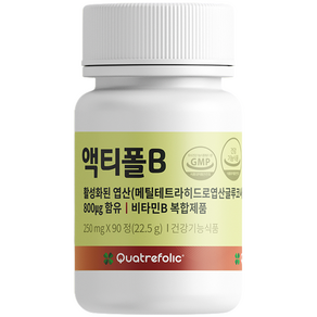 액티폴B 활성엽산 3개월분 90p