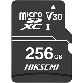 HIKSEMI D1 micoSD 메모리카드 HS-TF-D1, 256GB, 1개