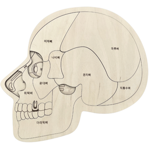 STUKA PUKA 두개골해부도 퍼즐 교구 해골 한글워크북 포함, 혼합색상, 1개