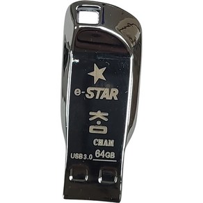 eSTARSSD 3 USB 메모리 실버 CHAM