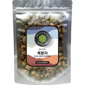 동이약초 복분자 어린열매, 250g, 1개