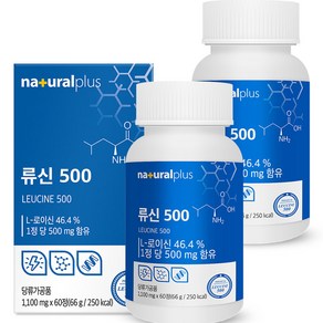 내츄럴플러스 류신 500 66g