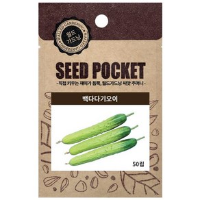 월드가드닝 백다다기오이 씨앗 50p, 1개