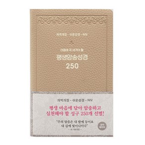 개역개정 평생 암송 성경 250 (쉬운성경 / NIV) 모카베이지, 아가페