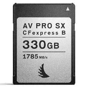 엔젤버드 AV PRO CFexpess Type B SX CF카드 AVP330CFXBSX, 1개