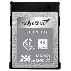 엑서센드 Element CFexpess Type B CF카드 EXPC3S256GB, 1개