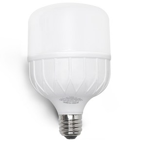 번개표 원하 LED 고와트 전구 50W 화이트, 주광색, 1개