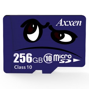 액센 프리미엄 Class10 UHS-1 캐릭터 mico SD 카드, 256GB, 1개