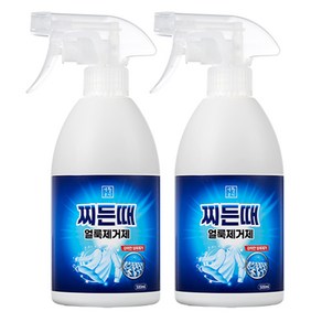 생활공식 찌든때 얼룩제거제, 500ml, 2개