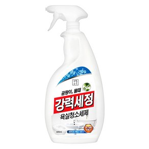 생활공식 강력세정 욕실청소세제, 1개, 600ml