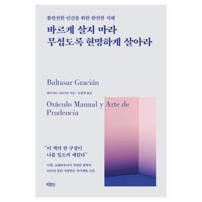 바르게 살지 마라 무섭도록 현명하게 살아라:불완전한 인간을 위한 완전한 지혜, 빅피시, 발타사르 그라시안