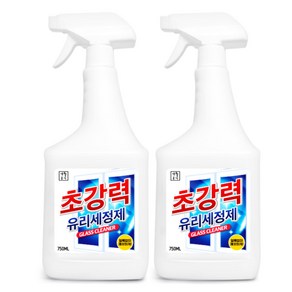 생활공식 초강력 유리 세정제, 750ml, 2개