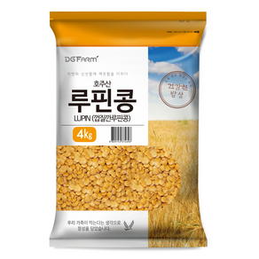 건강한밥상 루핀콩, 4kg, 1개