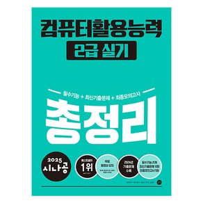 2025 시나공 컴퓨터활용능력 2급 실기 총정리