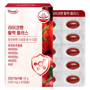 퍼니트 라이코펜 활력 플러스 30g