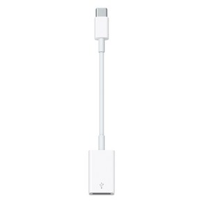 Apple USB-C-USB 어댑터, MW5L3FE/A, 1개